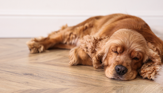 Top Water Underfloor Heating Trends for UK Homes in 2025