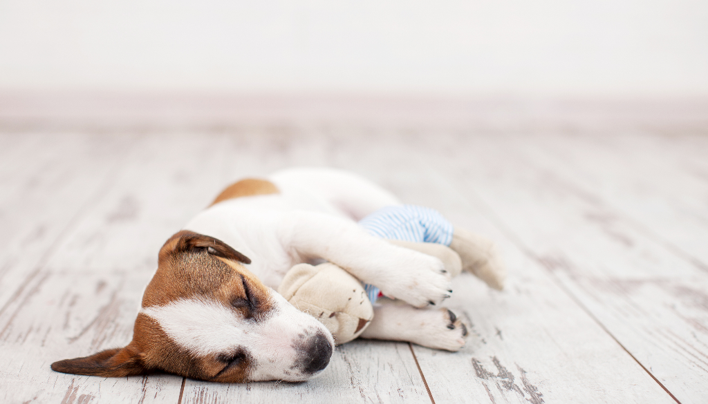 Frequently Asked Questions Answered: Water & Electric Underfloor Heating in 2026 (UK Edition)